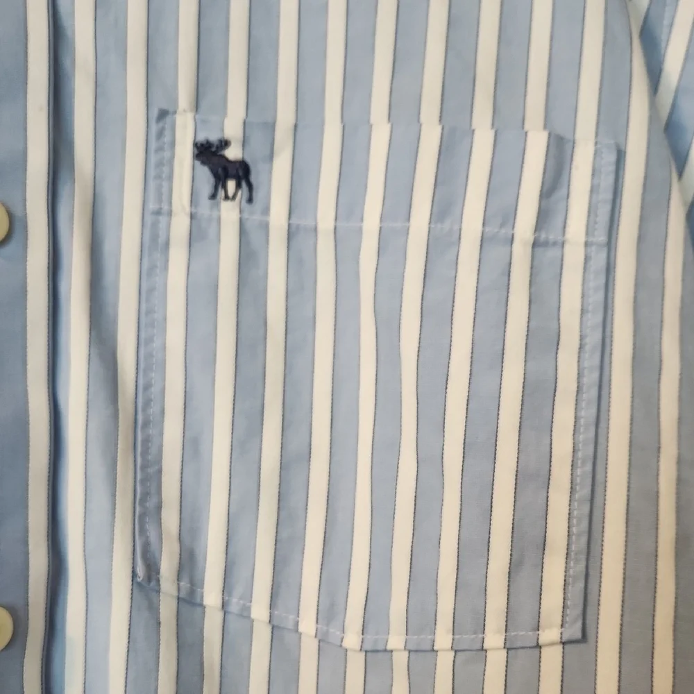 Abercrombie & Fitch Light Blue Striped Button Down Shirt - Picture 4 of 4